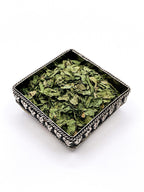 Cilantro