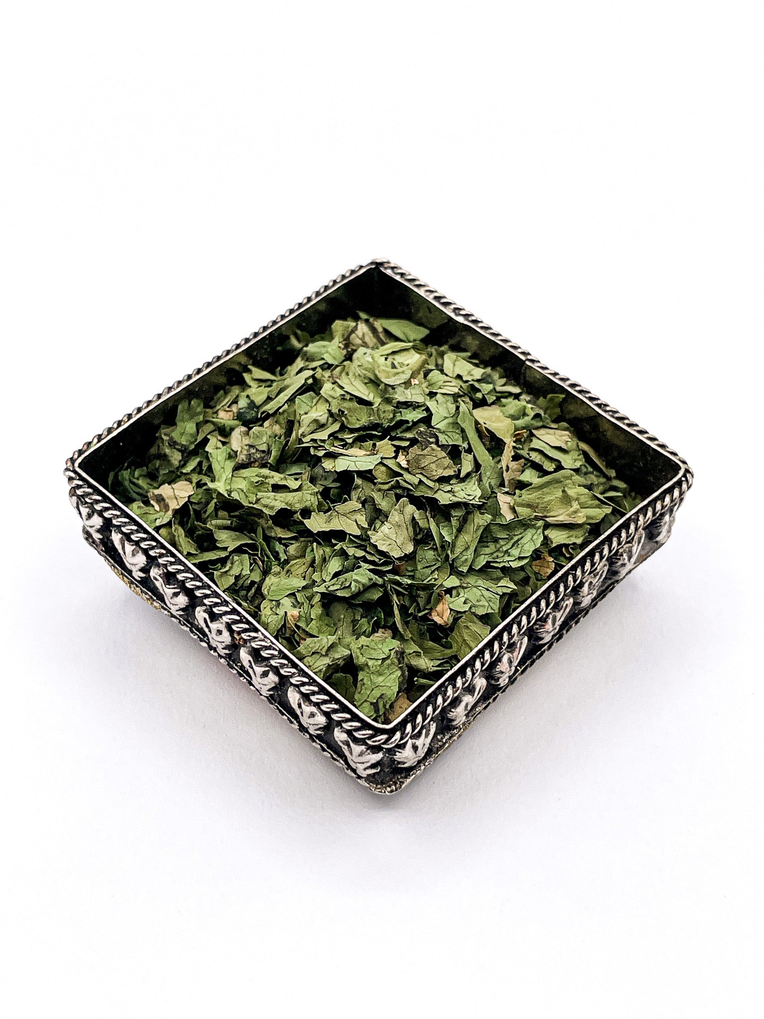 Cilantro