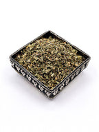 Mexican Oregano